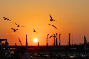 Beautiful Sunset Thumbnail