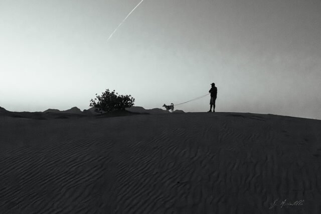 Desert Bond in Shees