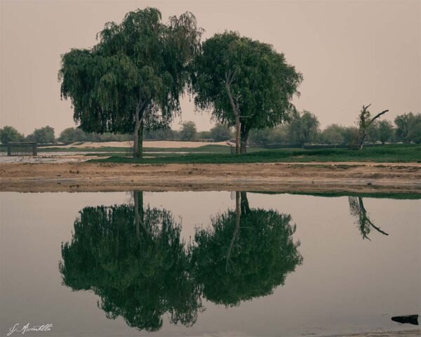 Mirror Nature in Expo Lake, Dubai