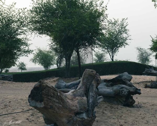 Silent Harmony, Expo Lake Dubai